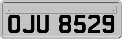 OJU8529