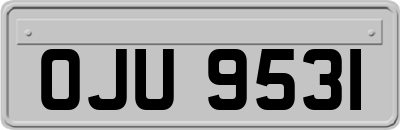 OJU9531