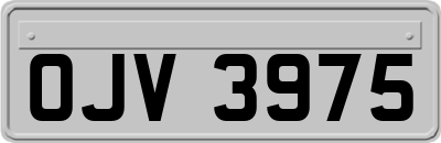 OJV3975