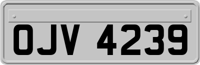 OJV4239