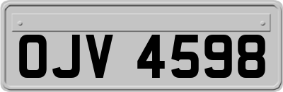OJV4598
