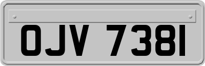 OJV7381