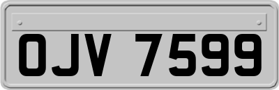 OJV7599