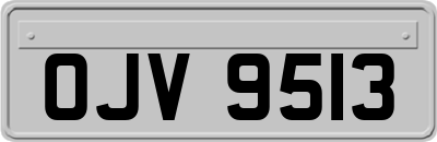 OJV9513