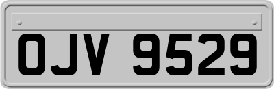 OJV9529