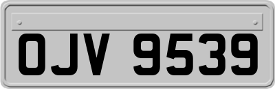 OJV9539