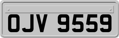 OJV9559