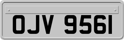 OJV9561