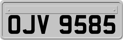 OJV9585