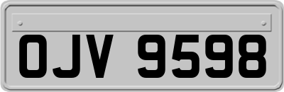 OJV9598