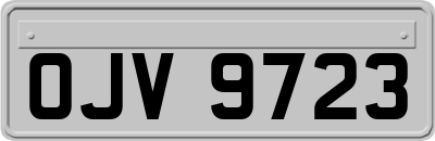 OJV9723