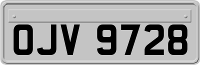 OJV9728