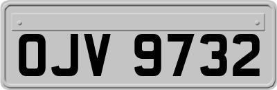 OJV9732