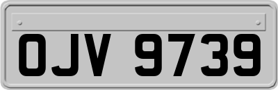 OJV9739