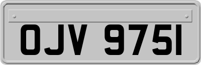 OJV9751