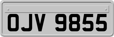 OJV9855