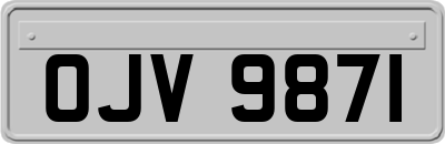 OJV9871
