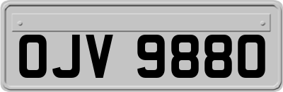 OJV9880