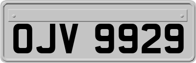 OJV9929