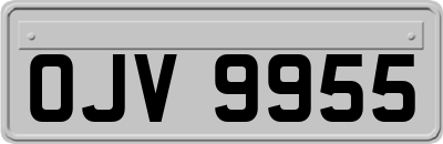 OJV9955