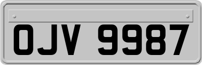 OJV9987