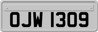 OJW1309