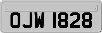 OJW1828