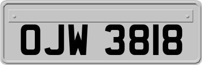 OJW3818