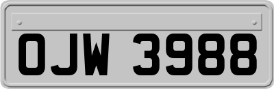 OJW3988