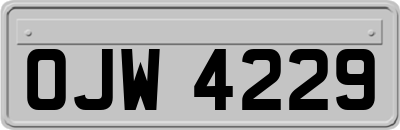 OJW4229