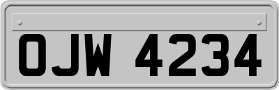OJW4234