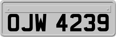 OJW4239