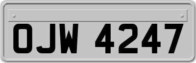 OJW4247