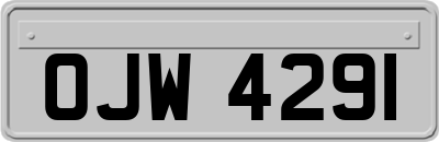 OJW4291