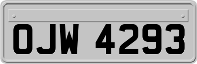 OJW4293