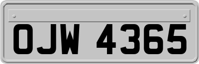 OJW4365