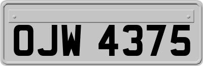 OJW4375