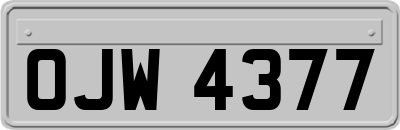 OJW4377