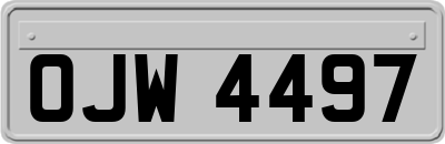 OJW4497
