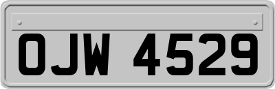 OJW4529