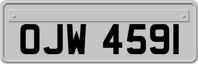 OJW4591