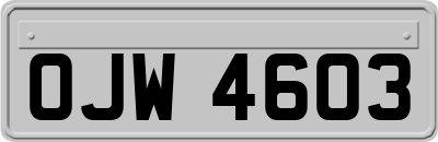 OJW4603