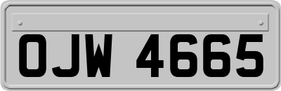 OJW4665