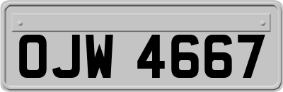 OJW4667