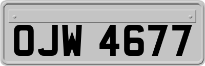 OJW4677