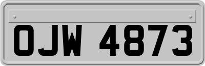 OJW4873