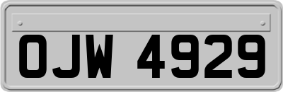 OJW4929