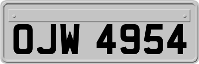 OJW4954