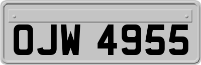 OJW4955