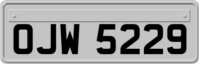 OJW5229